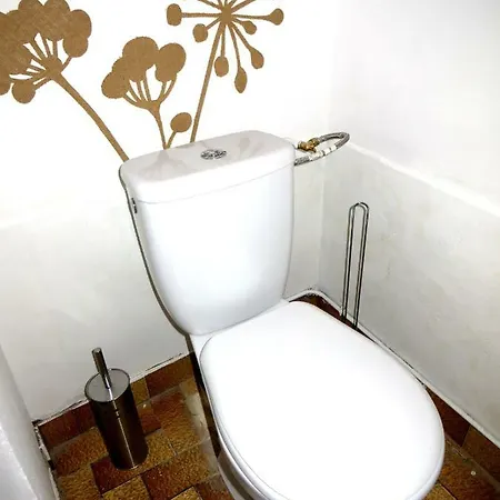 Cote De La Cite Medievale 카르카손