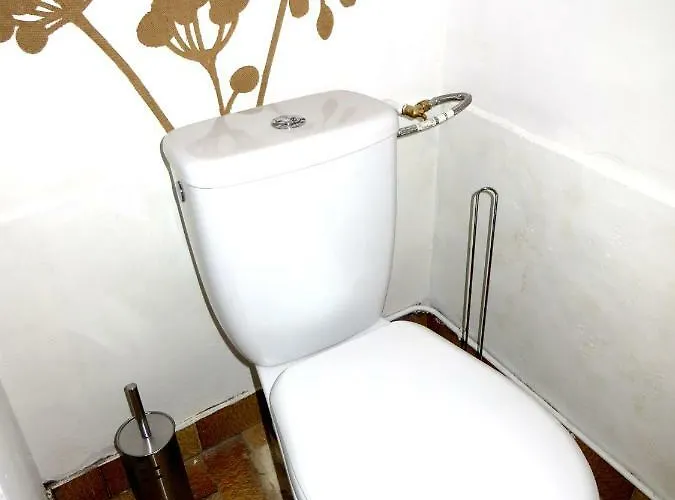 Cote De La Cite Medievale Carcassonne